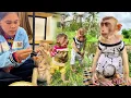 Download Lagu Pure Joy! ✨ #HappyPlace #Blissful #SimplePleasures | #monkey  #shorts