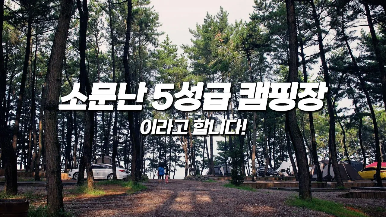 만족도 높았던 캠핑장! 바다뷰, 솔나무, 간격좋고, 깨끗한시설, 서천 장항오토캠핑장 리뷰! 명당자리공개 썸네일