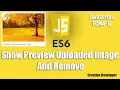 Show of upload Image and Remove Javascript Javascript Tutorial Display image
