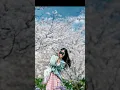 Download Lagu Raanjheya ve #music 💌💌