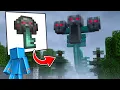 I Remade Every Item into Mobs