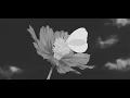 Download Lagu The Smashing Pumpkins - Bullet With Butterfly Wings (Slowed + Reverb)