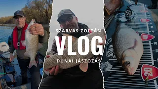 Tavaszi jászhorgászat a Dunán
