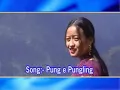 "Pung Eh Pungling"(Nyishi Song )Nyishi video album /Arunachal Pradesh song, North East India song.