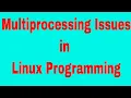Issues in Multiprocessing Multiprocessing Linux Programming