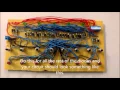 Building a 16 Digit Decimal to Binary Converter
