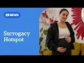 Georgia s surrogacy clinics attract Australians amid ethical questions ABC NEWS