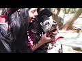Celebrating Spring 2022 Commencement