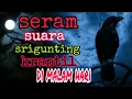 Download Lagu MENYERAMKAN seperti ini suara kicau burung srigunting kantil di malam hari