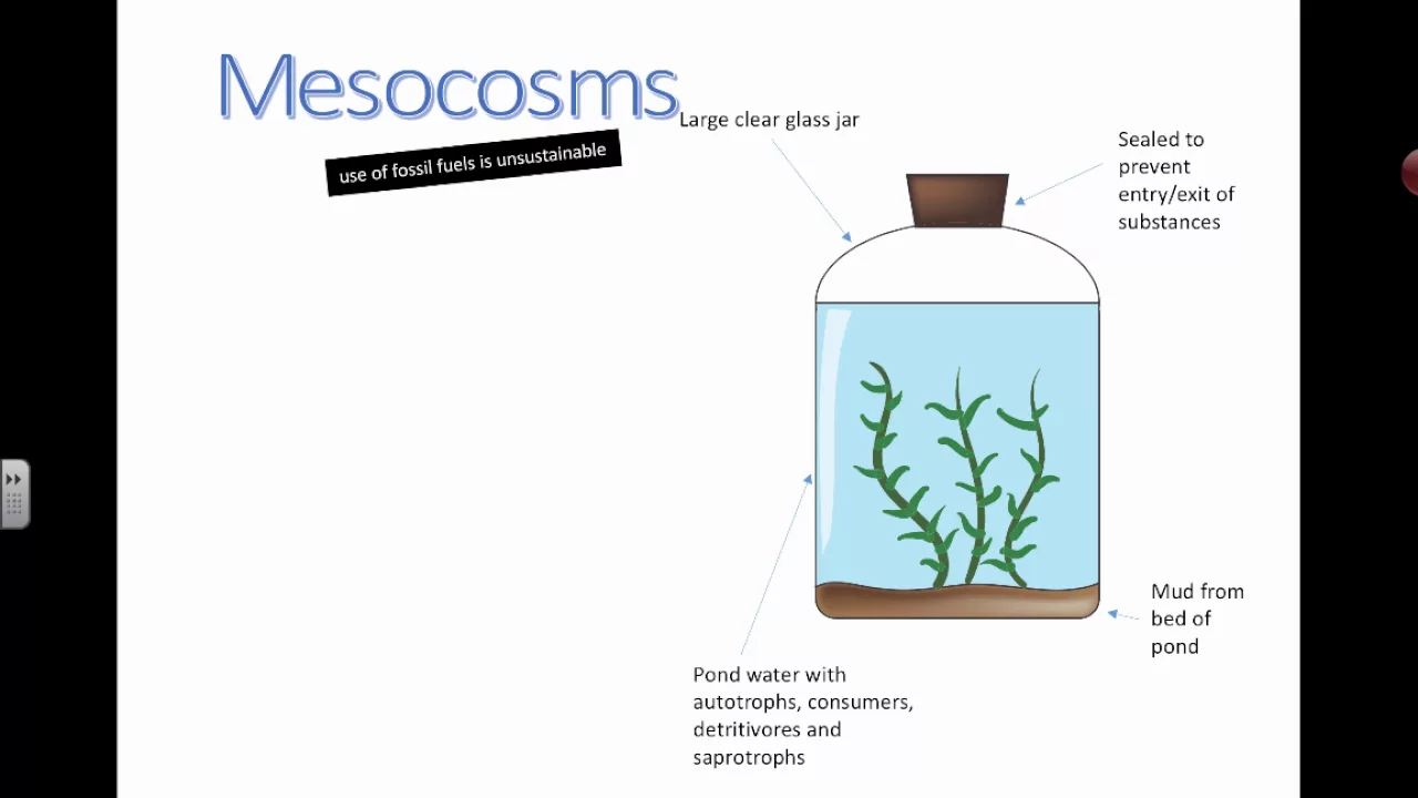 Cover image for Creating Self-Sustaining Mesocosms: A Guide to Ecosystem Simulation