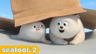 [Monthly Best] Binge Watch NEW EPISODES👶 | 60 Minutes | SEALOOK Compilation