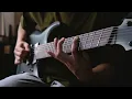 Polaris  - Without You (Guitar Cover)