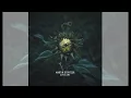 Martin Sturtzer - Auralume - full album (2025)