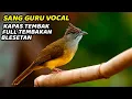 Download Lagu MASTERAN KAPAS TEMBAK GACOR DOR❗️KAPAS TEMBAK FULL TEMBAKAN PANJANG ABISSS