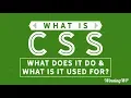 What is CSS What Does it Do And What is it Used For