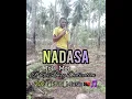 Download Lagu Nadasa_-_Tola_Mot_2024_PNG_Musik(Single)🇵🇬🎵