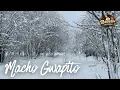 Macho Gwapito | Rico J. Puno | Soul Jazz Funk 🎶🎷🎤😄
