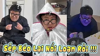 SẾP BÉO CỦA TÔI LẠI NỔI LOẠN NỮA RỒI !!! 😂