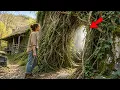 Leaving the Orphanage He Inherited an Overgrown Cave Then Cleared the Vines and Found This