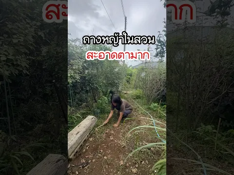 ทำความสะอาดสวน #ชีวิตแม่บ้านญี่ปุ่น #ถางหญ้า
