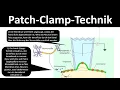 Patch clamp Biology Neurobiology Advanced Level