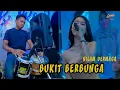 Lagu BUKIT BERBUNGA - NILAM DERMAGA - Fariz AND Friend  ( BANTERAS )