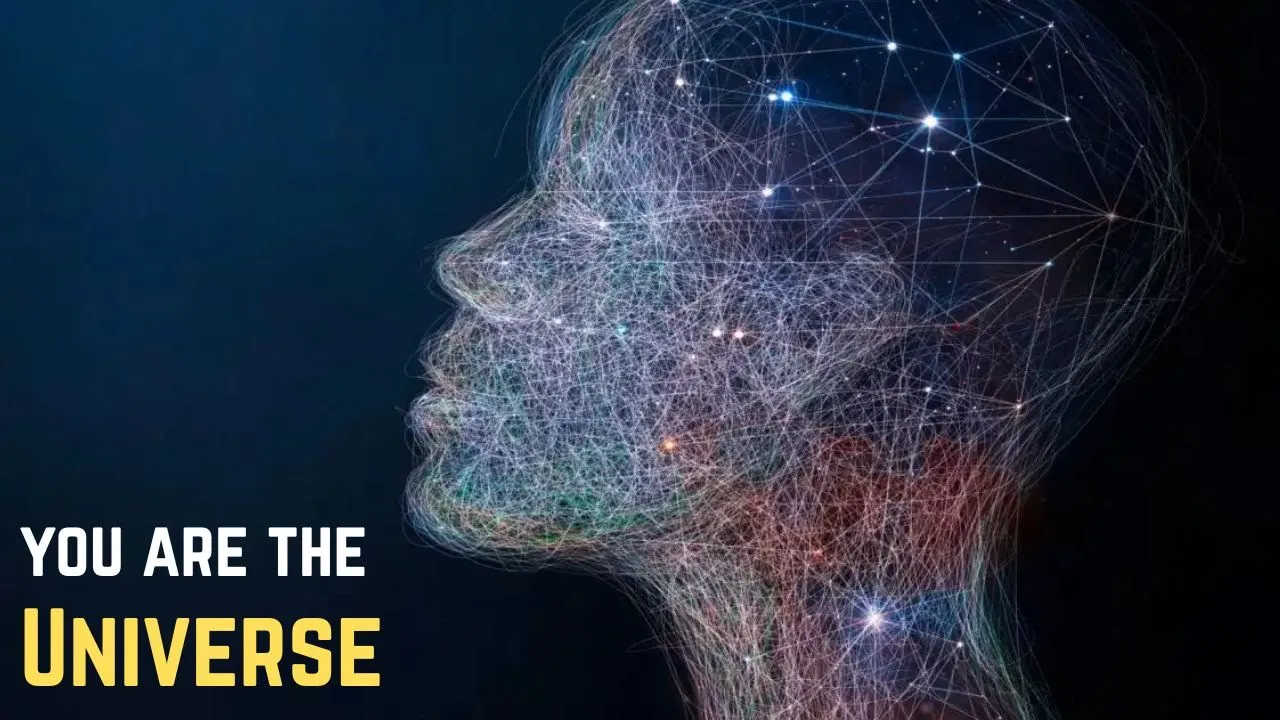 You Are the Universe Observing Itself