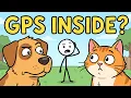 How Lost Pets Actually Find Their Way Home