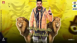 مهرجان الأسد زيزو النوبي مودي امين توزيع قط كرموز 2023 