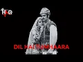 Download Lagu Dil Hai Tumhaara VIDEO | DJ Haq | Preity Zinta | Jimmy Shergill | Arjun Rampal | Bollywood Remix