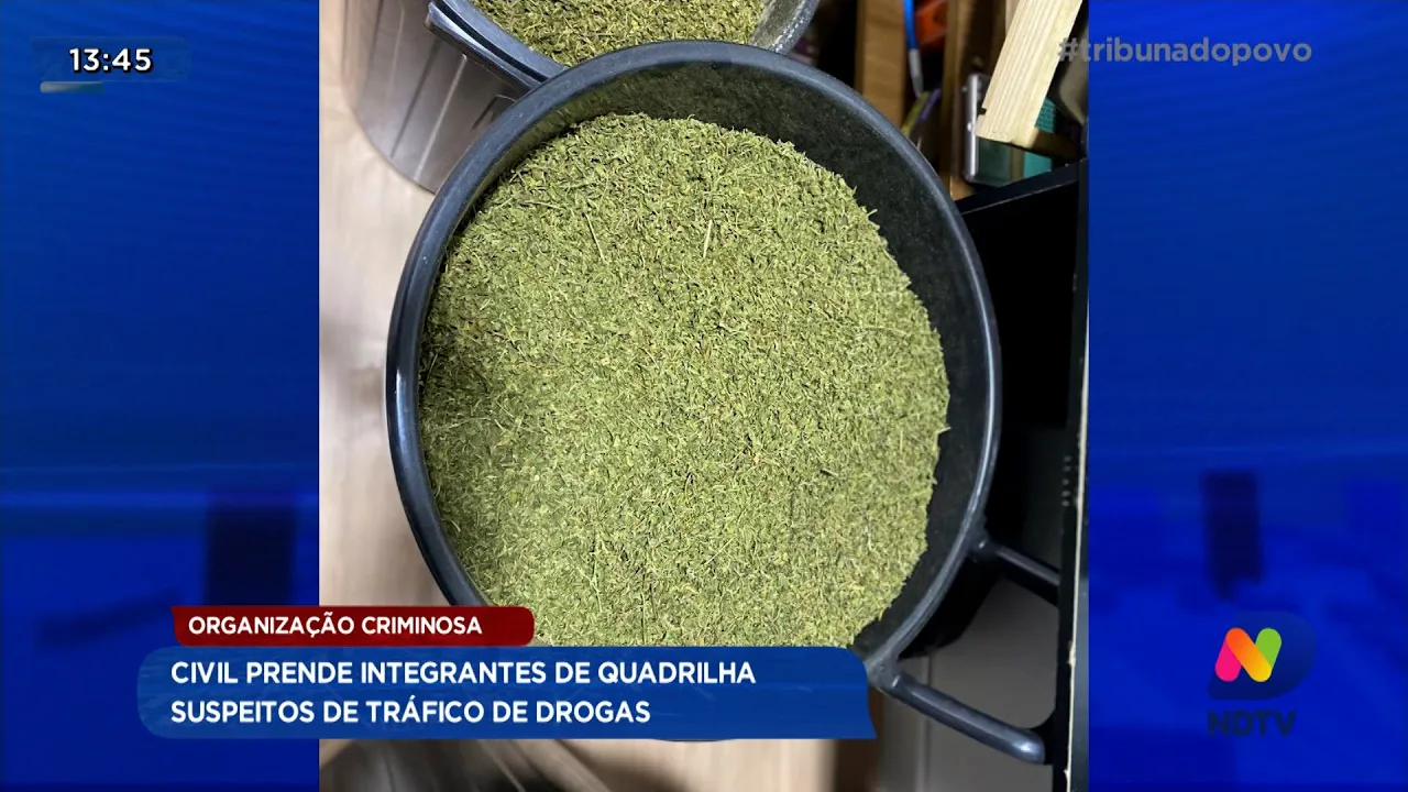 Organização criminosa: Polícia Civil prende integrantes de quadrilha suspeitos de tráfico de drogas