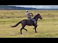 Download Lagu Traditional horse racing_Kwadelunina Utrecht 2024