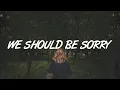 Download Lagu Axel Johansson - We Should Be Sorry (Lyrics)