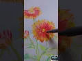 Blanket flowers blanket flowers flowers pencil