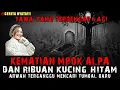 Download Lagu CERITA NYATA, KUBURAN MPOK ALPA DIJAGA RIBUAN KUCING HITAM