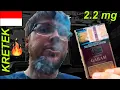 Download Lagu INDONESIAN CIGARETTES are TOO STRONG 🚬🇮🇩