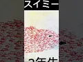 Download Lagu 2025年5月22日