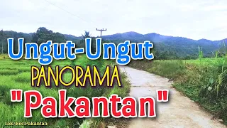 Download Ungut ungut Maraganti Hasibuan,dan Suasana Pagi desa Pakantan,Mandailing natal MP3
