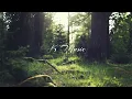 Alina Baraz & Galimatias - Maybe