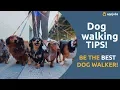 How to be a good dog walker AppJobs com