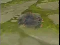 Unity VFX Graph - Explosion