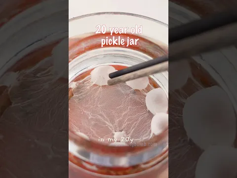 What is the white bubbles in my 20 year old pickle jar?