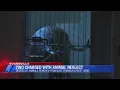15 dogs 29 cats and other animals rescued from Evansville home