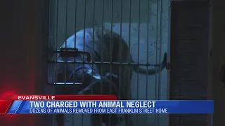 15 dogs 29 cats and other animals rescued from Evansville home