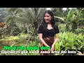 Download Lagu NENG RINA BIDADARI DESA SEDANG PULANG KAMPUNG