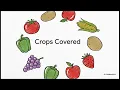 AI Plant Disease Detection App Flutter TensorFlow Lite Project
