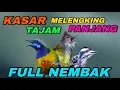Download Lagu CUCAK JENGGOT VS CUCAK CUNGKOK VS PELATUK BERAS/SAMPIT TEMBAKAN KASAR PANJANG COCOK BUAT MASTERAN