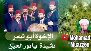 نشيدة يا نور العين   اجمل اناشيد ابو شعر دندنها
