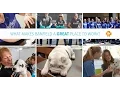 Banfield Pet Hospital - A Great Place to Work