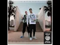 Palmen aus Plastik (Snippet)